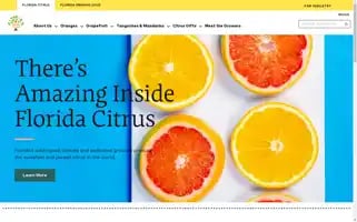 Floridacitrus.org Screenshot 2024-06-13 16:17:11