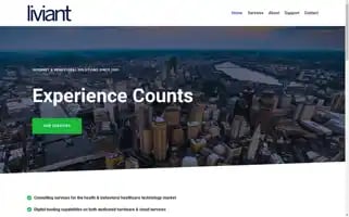 Liviant.com Screenshot 2024-06-30 20:31:54