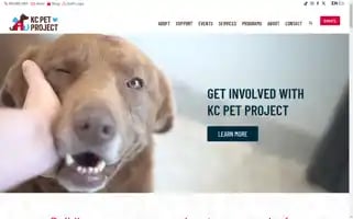 Kcpetproject.org Screenshot 2024-07-04 02:28:42