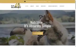 Drianbillinghurst.com Screenshot 2024-06-11 23:32:12