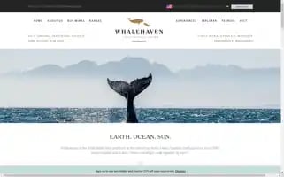 Whalehaven.co.za Screenshot 2024-06-16 01:06:46