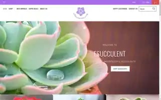 Esucculent.com Screenshot 2024-05-05 21:29:37