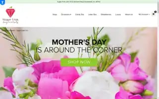 Sugarfruitusa.com Screenshot 2024-05-17 03:34:35