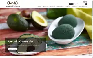 Bindiusa.com Screenshot 2024-07-04 16:53:50