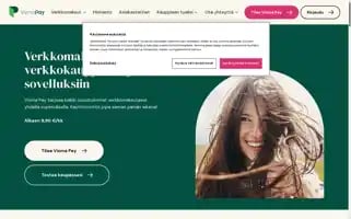 Vismapay.fi Screenshot 2024-06-17 18:22:13