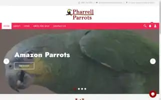 Pharrellparrotsworld.com Screenshot 2024-06-11 06:16:50
