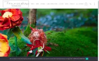 Franziska.ie Screenshot 2024-05-19 02:41:21
