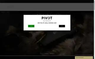 Uniquelypivot.com Screenshot 2024-05-02 06:45:23