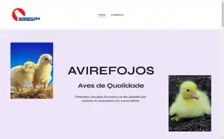 Avirefojos.pt Screenshot 2024-05-25 12:58:36