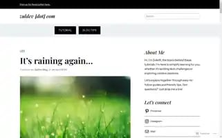 Zuldev.com Screenshot 2024-05-18 10:40:21