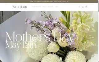 Studiobbstore.co.nz Screenshot 2024-05-03 12:33:47