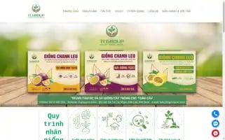 Tcgroupvin.com Screenshot 2024-06-18 16:11:25