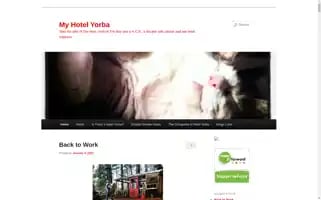 Myhotelyorba.com Screenshot 2024-04-26 06:17:56
