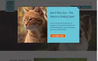 Morrisanimalfoundation.org Screenshot 2024-06-29 16:35:52