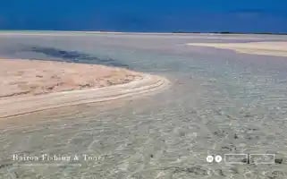 Rairoafishingandtours.com Screenshot 2024-04-14 18:35:17