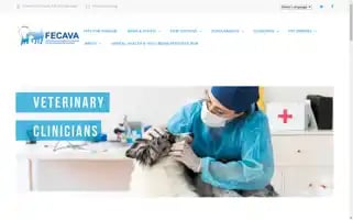 Fecava.org Screenshot 2024-07-04 15:52:31