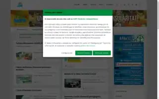 Anpebalears.es Screenshot 2024-07-07 23:19:20