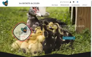 Les-secrets-de-julien.fr Screenshot 2024-05-22 12:32:28