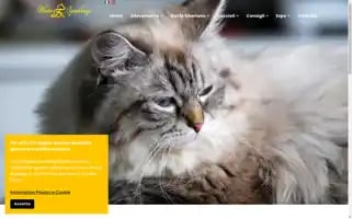 Wintersymphony.it Screenshot 2024-06-14 23:04:11