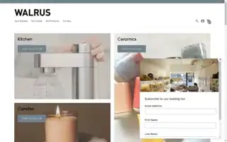 Walrus-home.myshopify.com Screenshot 2024-04-17 03:28:01