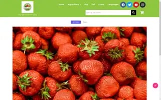 Farmingjunction.com Screenshot 2024-05-28 23:40:24