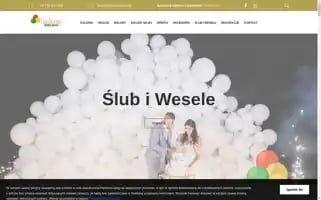 Pudlozbalonami.pl Screenshot 2024-06-14 20:31:06