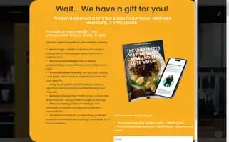 Mindnibs.com Screenshot 2024-05-25 03:05:28