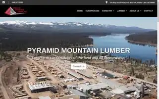 Pyramidlumber.com Screenshot 2024-06-17 21:35:12
