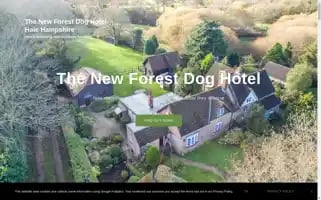 Thenewforestdoghotel.co.uk Screenshot 2024-04-17 11:48:25