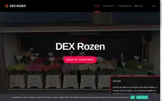 Dexrozen.nl Screenshot 2024-05-20 15:02:03