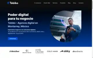 Tebiko.com Screenshot 2024-07-01 07:18:59