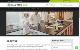 Caluanielab.com Screenshot 2024-05-23 00:33:47