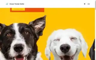 Oceantrendyoutlet.com Screenshot 2024-05-26 21:04:31