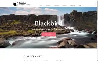 Blackbirdpersonaltours.is Screenshot 2024-04-17 15:28:07