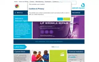 Adcock.co.za Screenshot 2024-07-03 05:54:32