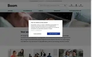 Boom.nl Screenshot 2024-06-16 10:27:24