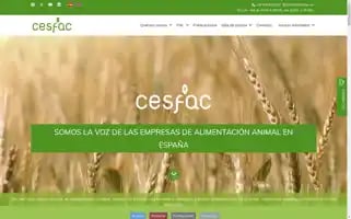 Cesfac.es Screenshot 2024-06-30 23:18:47