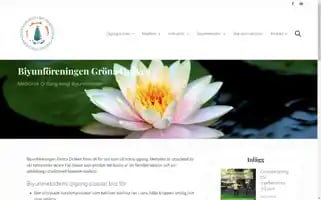 Gronadraken.se Screenshot 2024-05-29 14:03:10