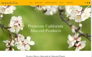 Mandelininc.com Screenshot 2024-05-05 11:39:54