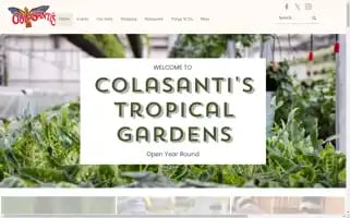 Colasanti.com Screenshot 2024-06-12 01:28:50