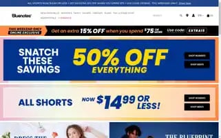 Blnts.com Screenshot 2024-05-04 02:48:53