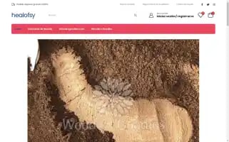 Healofsy.shop Screenshot 2024-05-29 10:37:47