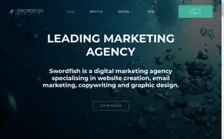 Swordfish-marketing.com Screenshot 2024-06-15 13:50:07