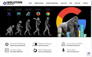Ivolutionconsulting.com.au Screenshot 2024-06-30 16:16:36