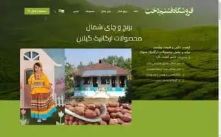 Foshtomdokht.com Screenshot 2024-07-08 09:11:23