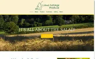 Lanecottageproduce.co.uk Screenshot 2024-05-22 05:34:43