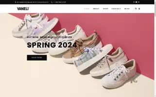 Vanelishoes.com Screenshot 2024-05-16 23:10:00