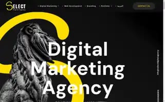 Selectdigital.agency Screenshot 2024-06-16 16:27:27