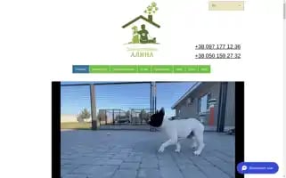 Zoohotelalina.com Screenshot 2024-04-17 11:46:46