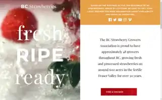 Bcstrawberries.com Screenshot 2024-07-04 01:58:59